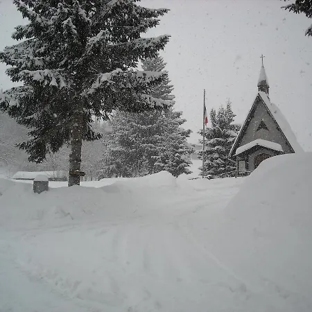 酒店 塔约尔酒店 *